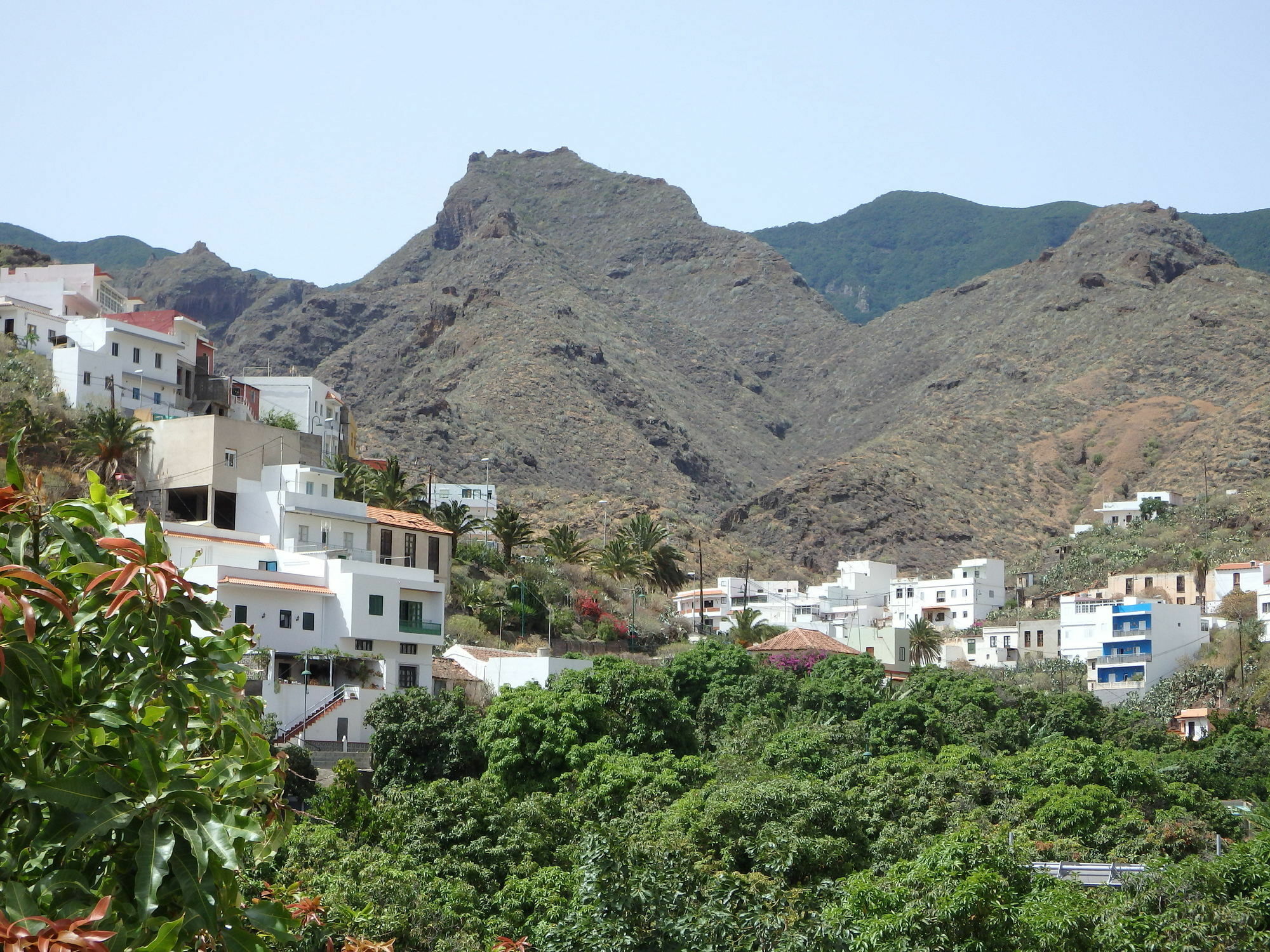 Appartamento La Casa De Emma Santa Cruz de Tenerife Esterno foto